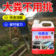 JCZS德國品牌化糞池溶解劑強力化糞劑大便下水道旱廁堵塞微生物融化除 化糞池強力溶解劑5斤裝