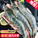 蝦有蝦途國(guó)產(chǎn)青島大蝦白蝦青蝦基圍蝦鮮蝦冷凍生鮮蝦類鮮活特大海捕整箱裝 14-16厘米 3斤(凈重)