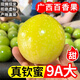 禾桂堂廣西正宗欽蜜9號(hào)黃金百香果當(dāng)季新鮮水果雞蛋果酸甜濃郁整箱包郵 5斤帶箱凈重4.5-4.8斤 【品質(zhì)實(shí)惠】大果60-70g