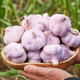 陜西2025干新鮮感大蒜現(xiàn)挖新蒜紫皮大蒜批發(fā)鮮蒜紅皮蒜干蒜 2-2.5斤單果4-5CMM凈1.6斤