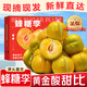顏曼箐蜂糖李子四川蜂糖李【順豐/JD-送貨上門】新鮮水果青脆甜李子禮盒 5斤甄選大果【40-45mm】 凌晨采摘-當(dāng)日發(fā)貨