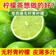 福仙品無籽青檸檬塔希提檸檬皮薄多汁新鮮果香檸檬新鮮采摘小青檸檬 青檸檬（中小果40-60g） 1斤嘗鮮裝（約6-10個）