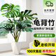 愛(ài)優(yōu)尚龜背竹盆栽客廳室內辦公室大型綠植盆景凈化空氣吸甲醛源頭直發(fā)