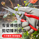 Ronix德國園藝剪果樹修枝剪刀園林剪花枝花藝剪刀修花 省力園林剪刀