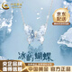 中國黃金（CHINA GOLD）925銀冰嶼蝴蝶項鏈女年新款時尚輕奢小眾生日禮物紀念日送女友 冰嶼蝴蝶-925銀【品牌禮盒】