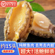 鯨甘郎純鮑魚(yú)肉鮮活冷凍大鮑魚(yú)加工熟凍三去免處理無(wú)殼新海鮮小鮑魚(yú)送禮 【約15頭】三去鮑魚(yú)肉毛重1斤