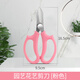 樸彩（PUCAI）園藝剪刀家用花藝剪刀寬頭花剪鮮花花道剪花枝剪樹(shù)枝修花修枝剪刀 花藝剪刀【粉色】