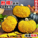 山胖子貝貝南瓜板栗味粉糯香甜老瓜山東小南瓜生鮮館新鮮蔬菜粗糧早餐 貝貝南瓜凈 4.5斤