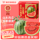 蒲戀山東8424麒麟西瓜【多地次日達(dá)】爆甜多汁西瓜口感中秋節(jié)禮物 2K小西瓜|紅瓤冰糖西瓜 【手挑好果-超值精選】3-4斤