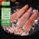 遇上鮮舟山長管魷魚 鮮凍筆管海兔子槍烏賊 凈重2斤(5-6只/斤) 源頭直發(fā)