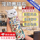 星舵裹貓布包貓布貓咪剪指甲固定包貓剪指甲防抓神器裹貓神器百貼布 卡通樂(lè)園-溫柔束縛 防抓防咬 55*55【適合10斤以下】