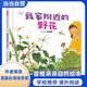 我家附近的野花——超美的寫(xiě)實(shí)繪本 海桐媽媽、莫莫媽媽、菁菁老師推薦！