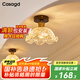 CASAGD法式中古風(fēng)創(chuàng)意花朵過道燈中式復(fù)古走廊玄關(guān)廚衛(wèi)陽臺吸頂燈 【疏花靜逸】-三色光
