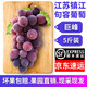果益壽【順豐直達(dá)】丁莊葡萄江蘇鎮(zhèn)江句容巨峰葡萄陽光玫瑰美人指白露沙 5斤【丁莊巨峰葡萄】 江浙滬皖拍這個(gè)