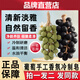胖東來青提紫提葡萄香皂仿真整串麻繩純手工diy洗澡頭臉精油香薰冷制皂 【青提20粒*1串】裸裝精簡版