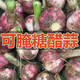 食尚半島山東金鄉鮮蒜干蒜大蒜自種新鮮蔬菜紫皮紅皮批發(fā)多瓣祘頭蒜種當季 2025山東精品鮮蒜【中果】 5斤