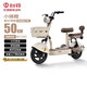 臺鈴電動自行車【國家補貼】小錦鯉50公里長續(xù)航電動車鉛酸電池48V13Ah電瓶車新國標杏仁棕