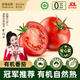 米特樂(lè )芙有機西紅柿番茄自然熟有機認證無(wú)激素無(wú)農殘沙拉食材匯基地發(fā)精品 有機西紅柿 5斤