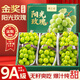 四叔公果蔬陽光玫瑰葡萄青提【順豐-多地次日達】無籽晴王葡萄提子水果禮盒 【金獎】7A級甄選果｜單8-10g 5斤裝【家庭自由暢吃】凈4斤