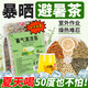通用清涼茶清熱解暑飲品夏季清涼清l熱解暑茶夏天工地高溫軍訓防中暑 暑氣清涼茶【50包】戶(hù)外運動(dòng)
