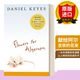 正版 英文原版 獻(xiàn)給阿爾吉儂的花束 Flowers for Algernon