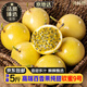 京地達正宗欽蜜9號黃金百香果 5斤巨無(wú)霸單果90g+ 新鮮水果源頭直發(fā)包郵
