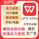 WPS超級大會員wps office軟件pdf編輯軟件永久激活手機版windows電腦版遠程安裝包 WPS軟件電腦版 2025