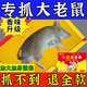 老鼠貼超強力新型粘鼠板粘捕家用加大加厚抓大老鼠一窩端滅鼠神器 5張