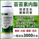28蕓苔素內酯植物生長(cháng)調節劑生根?；ū９麡?shù)蔬菜花卉農藥葉面肥 1000克
