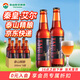 泰山原漿啤酒秦皇艾爾22°P國潮風(fēng)封禪系列烈性精釀啤酒禮品禮盒 300mL 6瓶 整箱裝