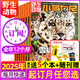【7.8月現(xiàn)貨】小哥白尼野生動(dòng)物雜志2025年1-8月新【全年/半年訂閱/2024年可選】6-15歲中小學(xué)生青少年科普科普百科期刊 全年訂閱【送5個(gè)本+隨刊贈(zèng)】25年7月-26年6月