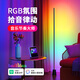 愛(ài)耐特落地?zé)糁辈ラg氛圍燈led智能極簡(jiǎn)輕奢墻角立式燈客廳臥室落地?zé)?單支裝-已接入米家APP