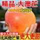 現(xiàn)摘進(jìn)口澳芒大芒果應(yīng)季水果新鮮澳洲越南奧芒9斤整箱海南蘋果芒 5斤裝【單果8兩起】