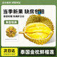 鮮級(jí)佳泰國(guó)進(jìn)口新鮮榴蓮老樹果新鮮整個(gè)帶殼榴蓮熱帶水果 金枕榴蓮2-3斤1個(gè)裝丨【包3-4房】