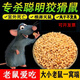 特效正品老鼠藥顆粒室外家用養殖場(chǎng)飯店超市耗子藥室外死滅鼠克星 【速殺型】殺鼠劑五包
