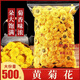黃菊花500g特級菊花茶散裝正品婺源黃菊花中藥護肝去火清熱解毒 黃菊花500g[商超裝]