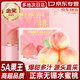 夢(mèng)芷正宗無錫水蜜桃【JD多地隔日達(dá)】 非陽山新鮮水蜜桃中秋節(jié)送禮盒 一級(jí)果|單果3-4兩【嘗鮮果】10枚 【自吃推薦-鎖鮮裝】顆顆精選