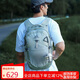 GREGORY格里高利NANO蜂鳥登山包徒步背包通勤輕便沖頂包雙肩包-20L銀綠色
