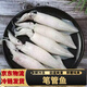 筆管魚(yú)新鮮冷凍野生海捕筆管魚(yú)小魷魚(yú)小海兔子現捕新鮮海鮮水產(chǎn) 筆管魚(yú)1000g