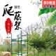 靚做連接桿卡扣爬藤桿卡扣包塑鋼管黃瓜架葡萄架陽(yáng)臺支撐庭院園藝花園 連接桿【16mm*30cm】卡扣10個(gè)裝