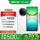 vivo Y300 8GB+256GB 瑞雪白 政府補(bǔ)貼 6500mAh藍(lán)海電池 護(hù)眼直屏 AI手機(jī)【移動(dòng)補(bǔ)貼】