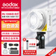 神牛（Godox）ML100Bi攝影燈雙色溫可調便攜夜拍燈人像補光燈戶外控制室電影視頻攝像燈  ML100Bi【官方標配】