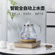 麥卓全自動上水燒水壺電熱水壺茶臺一體機茶桌茶幾燒水泡茶家用辦公電茶壺茶具套裝 1L 金色單爐 | 塑料底新款壺