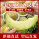 新疆特產(chǎn)老漢瓜比克斜其伽師瓜新鮮水果孕婦健康果哈密瓜 1個(gè)裝【帶箱5-6斤】