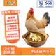 土滿(mǎn)鮮皖南燉湯母雞 凈量1.8斤 皖南土雞煲湯生鮮雞肉整只