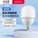 公牛（BULL）LED節(jié)能燈泡超亮家用室內(nèi)照明柱形吊燈客廳臥室E27通用螺口電燈泡 【推薦22-25m2】30w-白光6500k 官方無(wú)頻閃農(nóng)村庭院高亮球泡燈