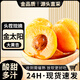 亨迅頭茬新鮮大黃杏子酸甜陜西凱特金太陽現(xiàn)摘應(yīng)季時令水果生鮮 實惠凈重4.5斤裝