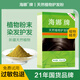海娜新疆海娜粉天然植物護發(fā)粉中老年護色遮蓋白發(fā)頭發(fā)護理補發(fā)海納粉 海娜養發(fā)粉【四盒裝】