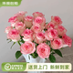 云南鮮花批發(fā)品質(zhì)玫瑰百合水養鮮切花送女友水養鮮花源頭直發(fā) 艾莎（鐵頭公主）-10支 【任選2件—不收運費】