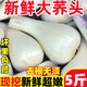 黃六爺新鮮藠頭蕎頭5斤農(nóng)家新鮮蔬菜時(shí)令泡菜現(xiàn)挖現(xiàn)發(fā)去須小蒜茭頭包郵 1斤 大小隨機(jī)【新鮮脆嫩】新鮮脆嫩